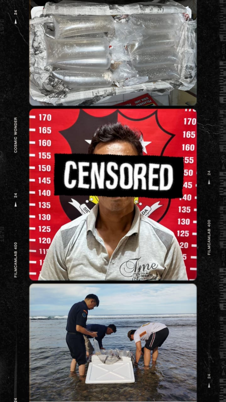 Polres Pesibar Ungkap Penyeludupan Benih Lobster