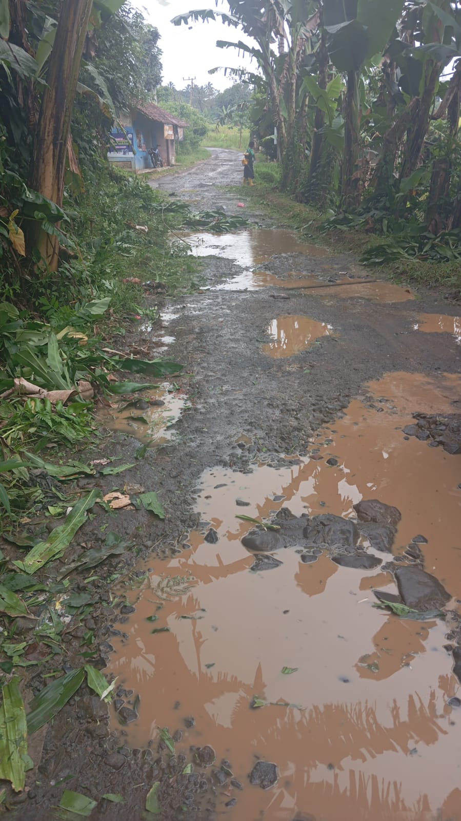 Ironis Kondisi Jalan Kabupaten Bertahun Tak Tersentuh Perbaikan