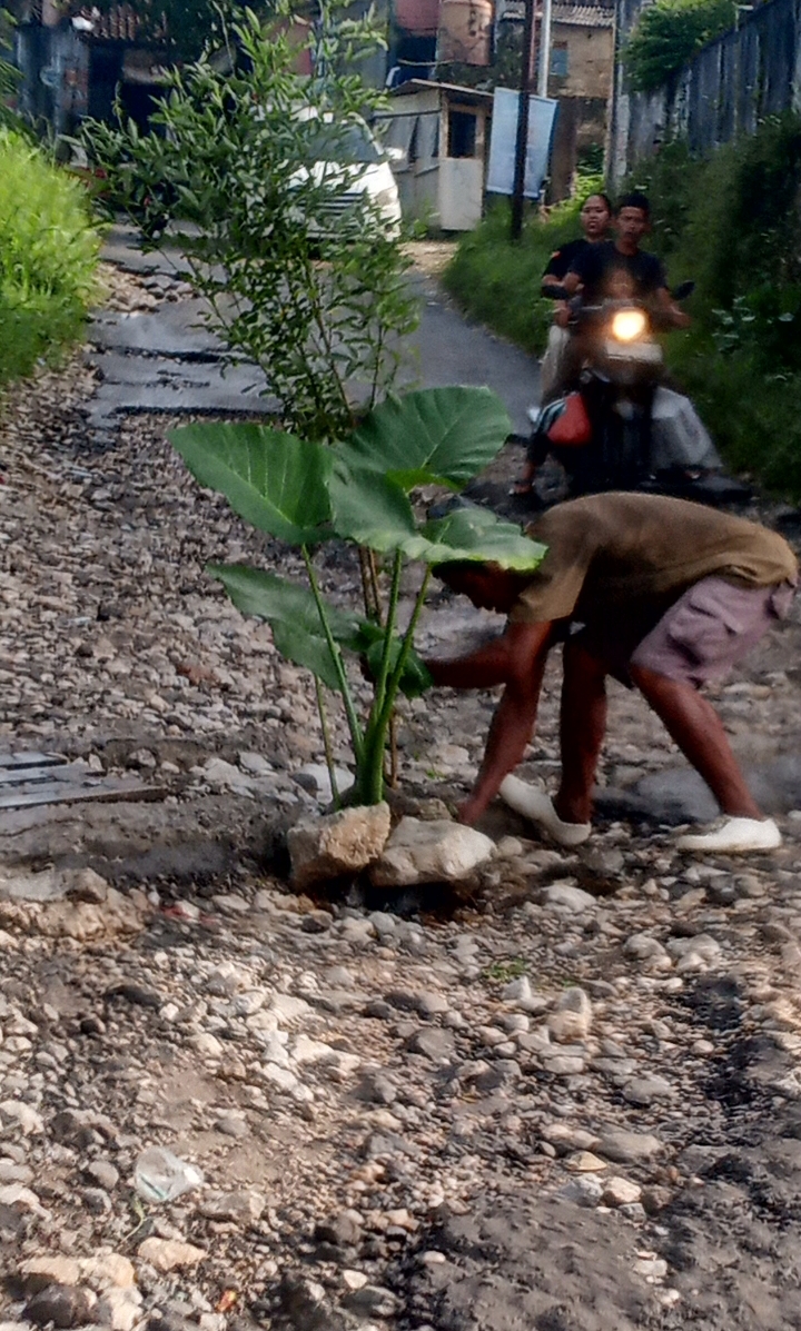 Jalan Rusak Tonjaya-Sekarwangi, Ditanami Pohon Oleh Warga